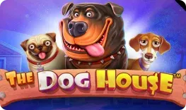 Windetta Casino – The Dog House